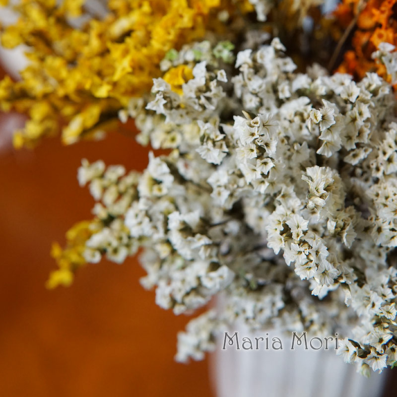 5g/colorido hierba de cristal  - Baby Breath Dried reseña y precio