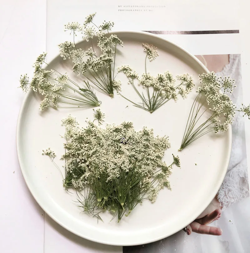 5-7 cm/12 piezas, flores peque - Baby Breath Dried reseña y precio