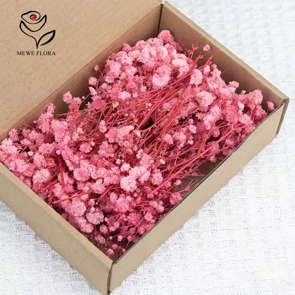 100 ramas pequeñas de flores s - Baby Breath Dried reseña y precio