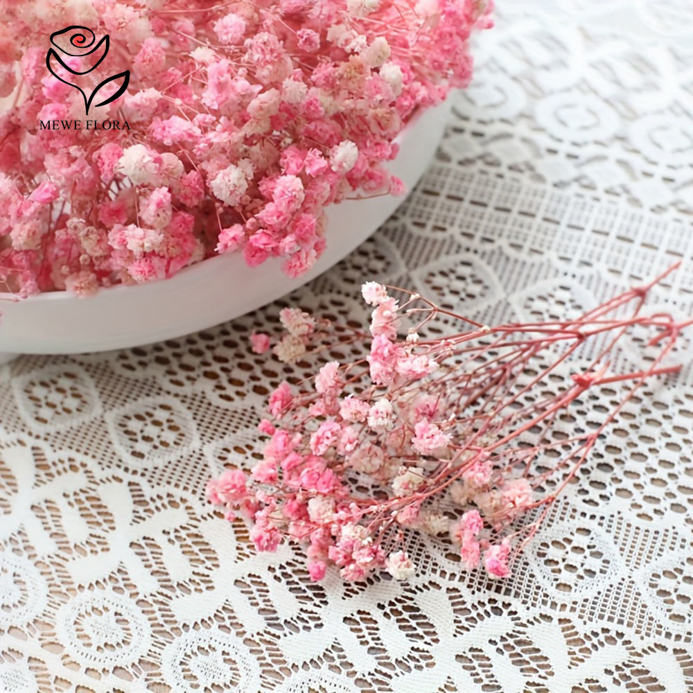 100 ramas pequeñas de flores s - Baby Breath Dried reseña y precio